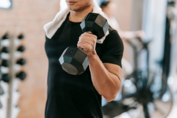 Body recomposition workout plan