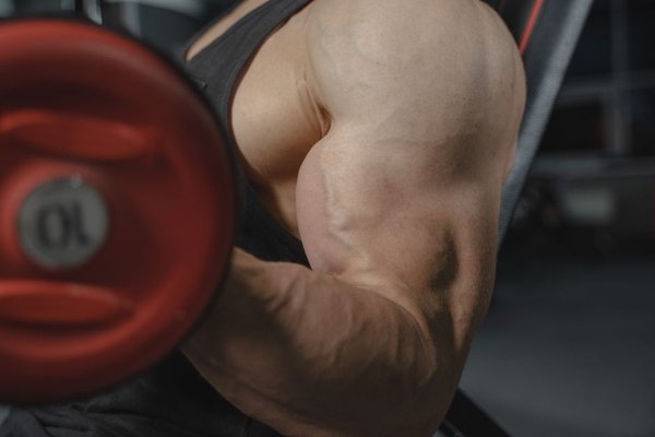 arm hypertrophy workout