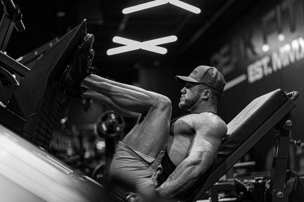 push pull legs program for beginners