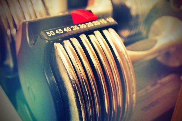 adjustable dumbbell workout plan